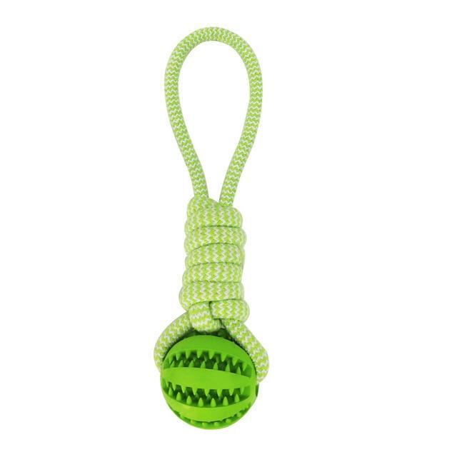 Durable Rubber Chew Ball with Cotton Rope – Tug & Play Toy for Dogs